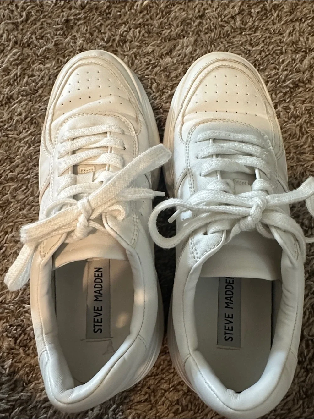 Steve Madden Perrin White Sneakers a